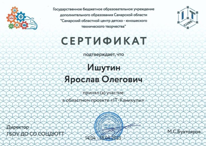 IT каникулы (1)