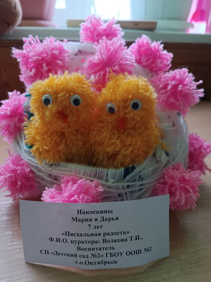 Накоскины Дарья и Мария