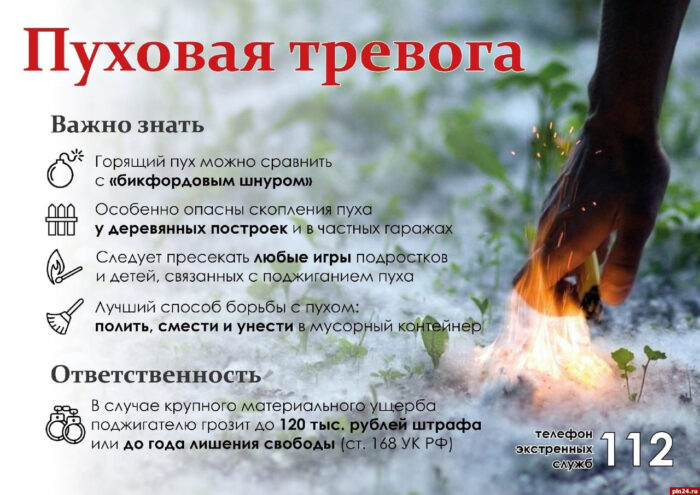 Приложение для рассылки в мессенджерах