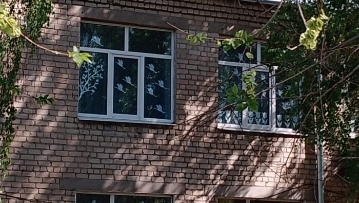 акция окна победы (3)
