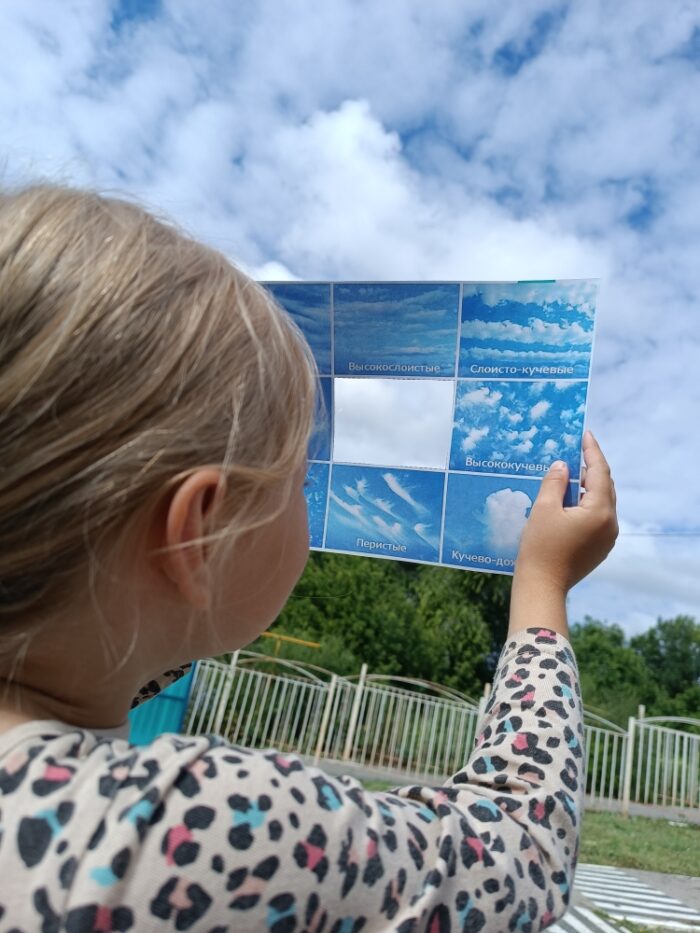 наблюдение за природой (3)