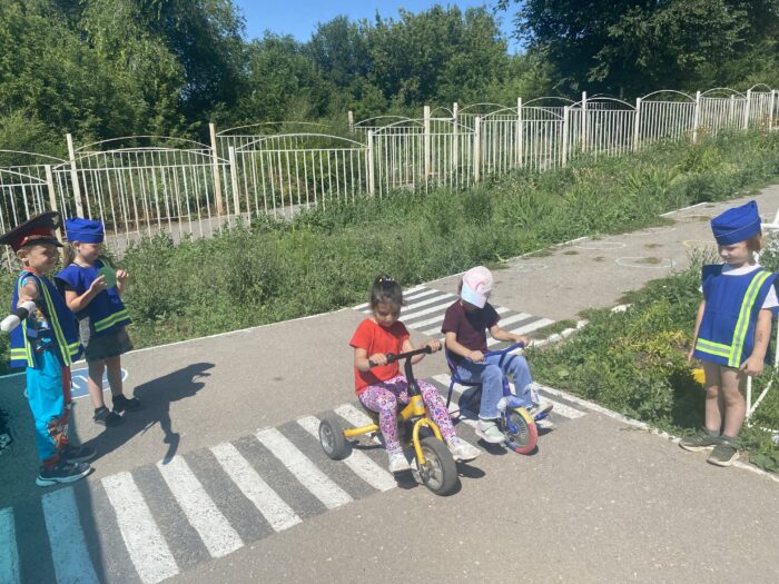 пдд (1)