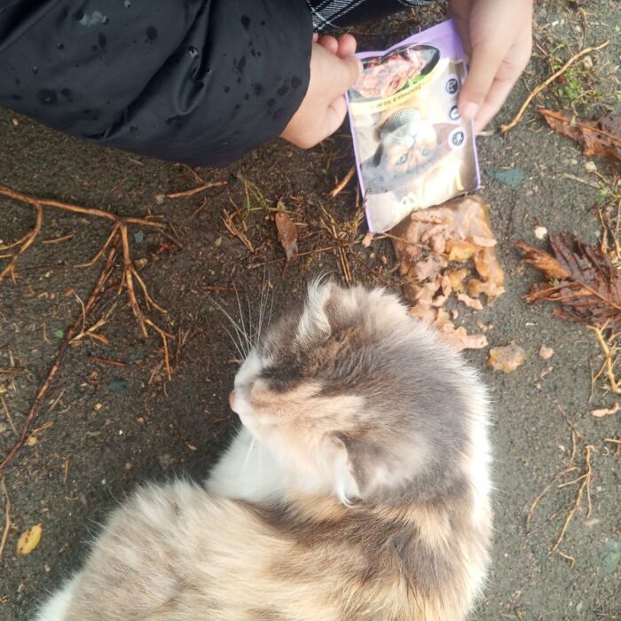 добрые дела (1)