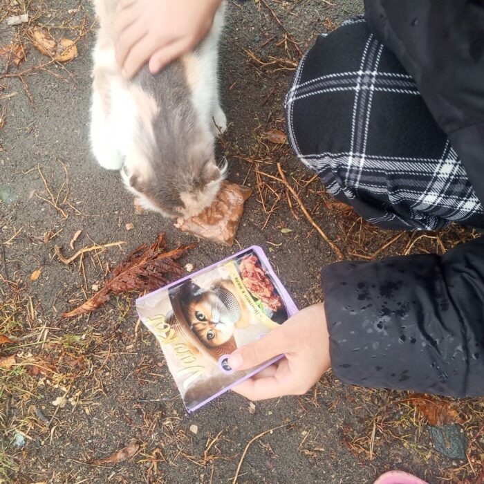 добрые дела (3)