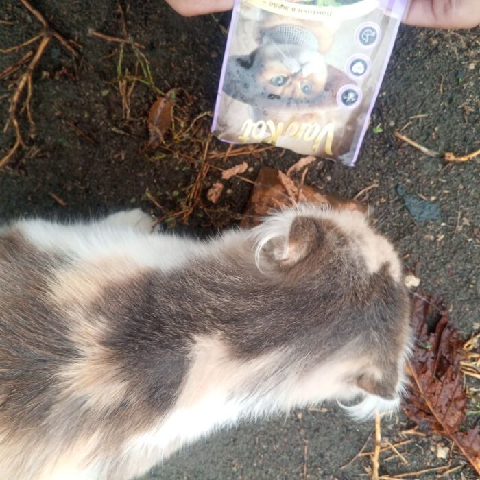 добрые дела (5)