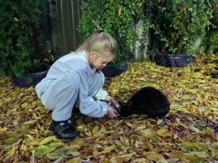 добрые дела (6)