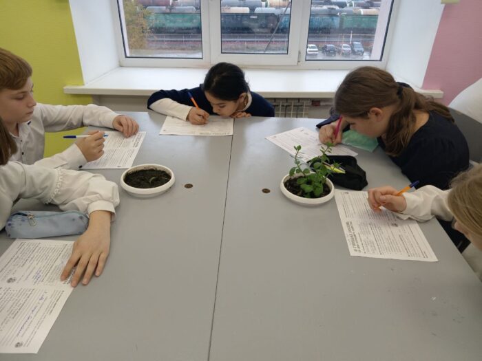 классный час ко Дню народного единства 4