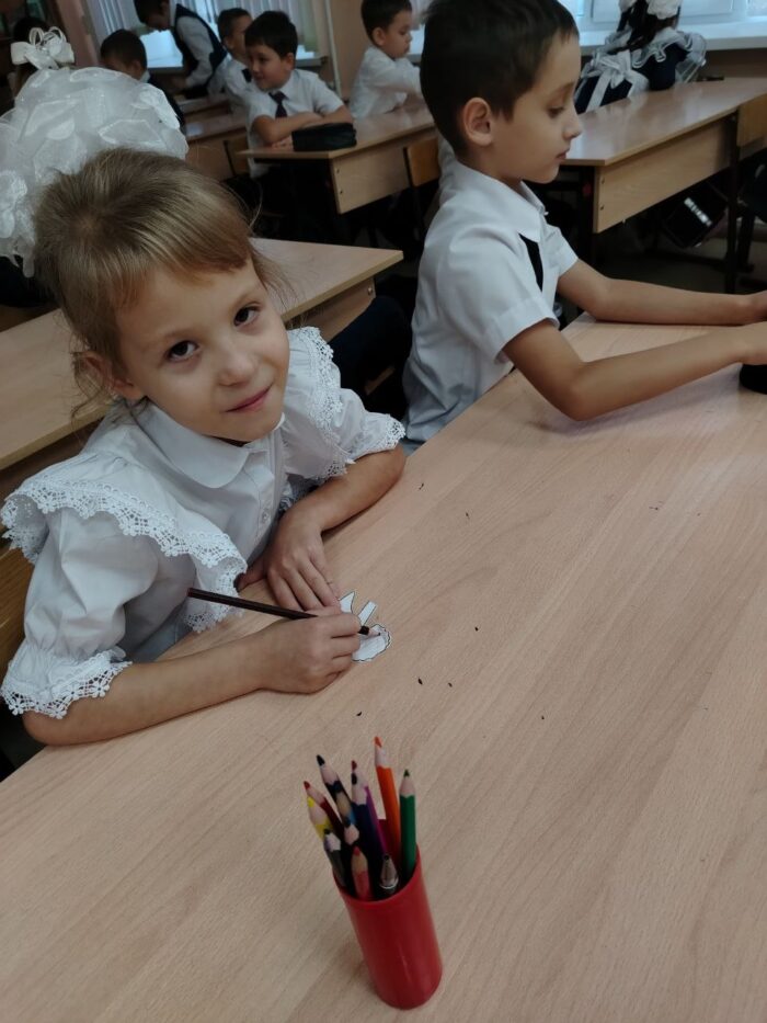 разговоры о важном в 1 классе (6)