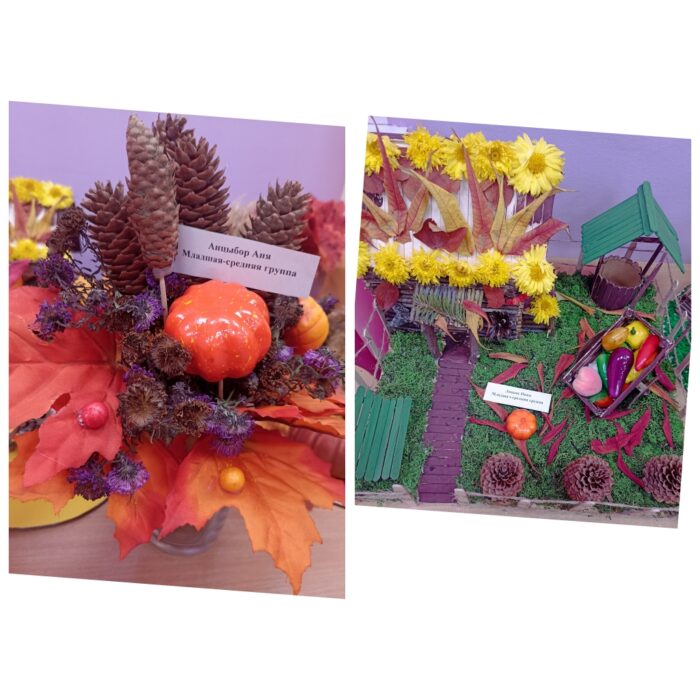 выставка (4)