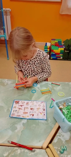 конструирование (4)