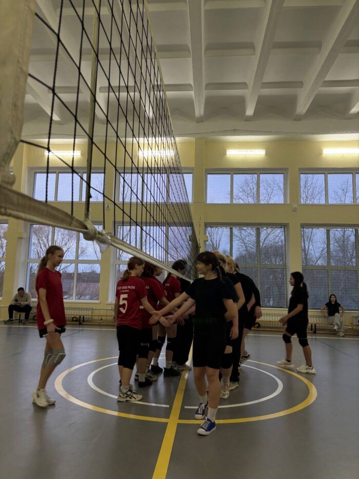 соревнования по волейболу (2)