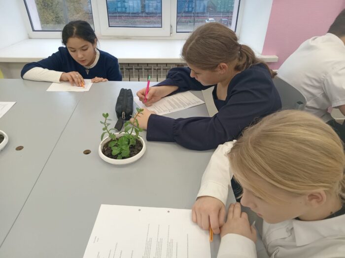 урок мужества (3)