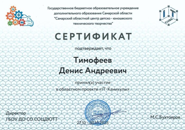 участие в областном проекте «IT каникулы» (1)