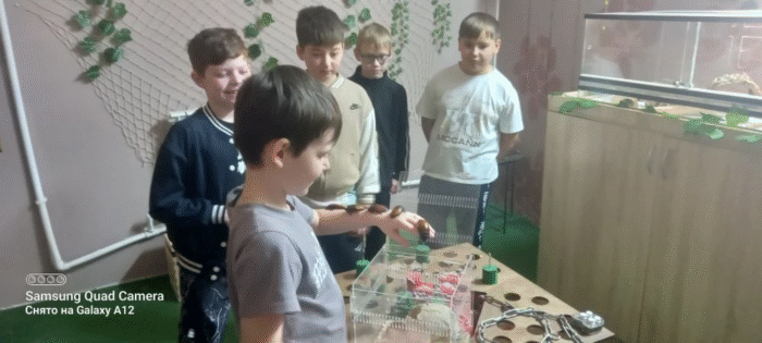 форт боярд (6)