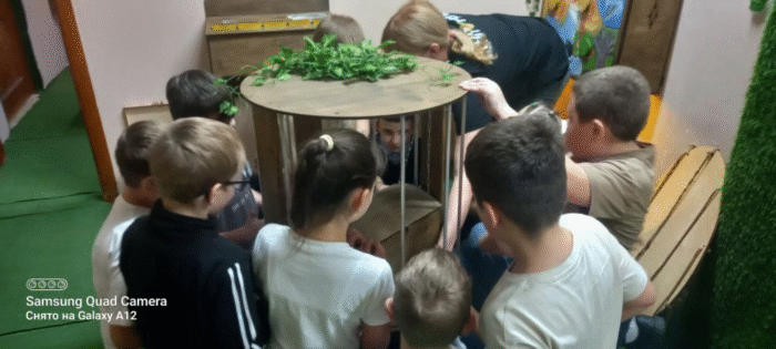 форт боярд (9)