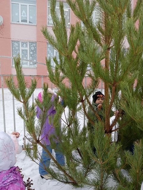 Украшение ёлки в детском саду (3)