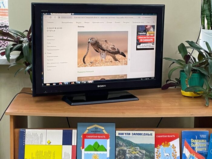 посещение библиотеки (4)