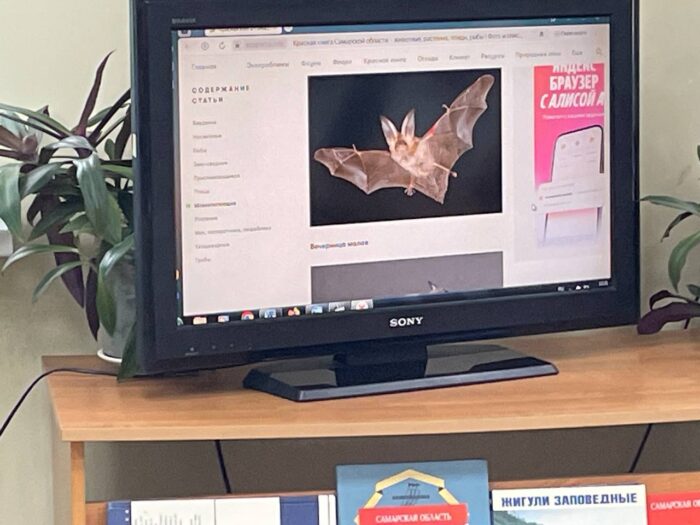 посещение библиотеки (6)