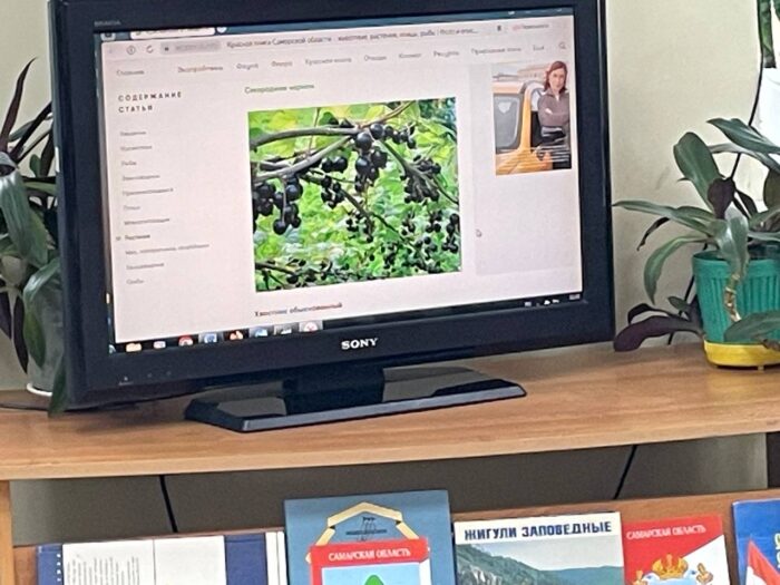 посещение библиотеки (8)