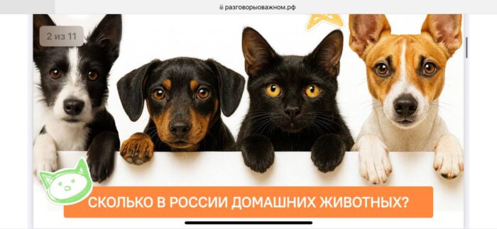 разговоры о важном в 7 классе (3)