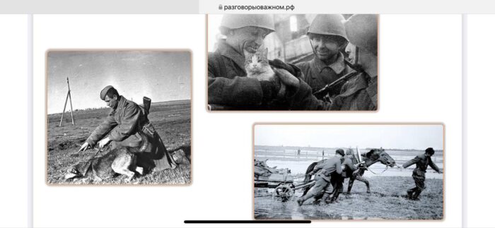 разговоры о важном в 7 классе (6)