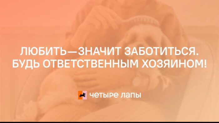 разговоры о важном в 7 классе (9)