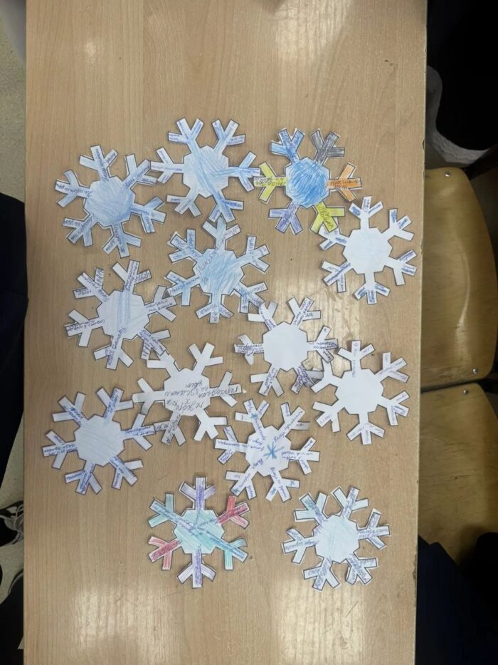 снежинка безопасности (1)