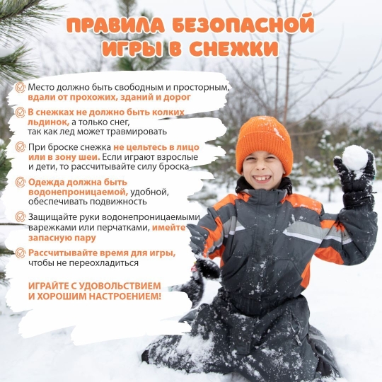правила игры в снежки