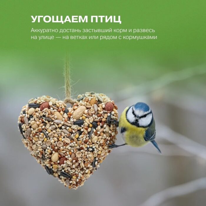 Присоединяемся к акции от Движения Первых Угощаем птиц. (1)