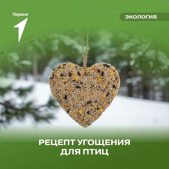 Присоединяемся к акции от Движения Первых Угощаем птиц. (2)