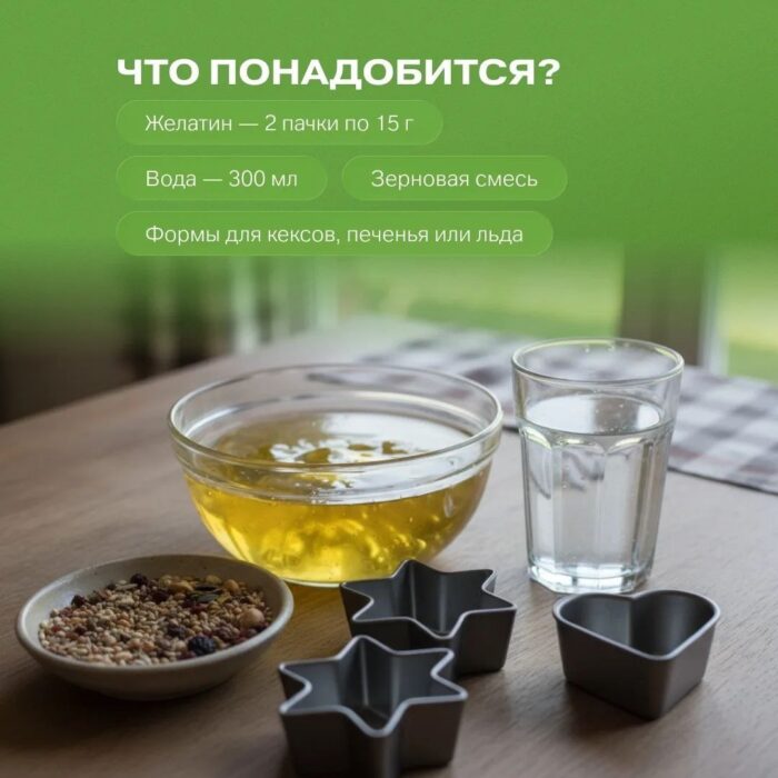 Присоединяемся к акции от Движения Первых Угощаем птиц. (3)