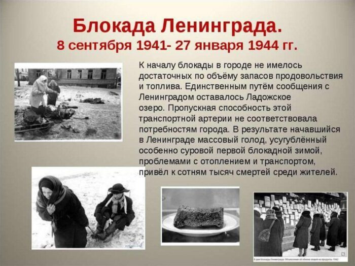 Просмотр фильма о кошках, спасающих жизни людей блокадного Ленинграда (5)