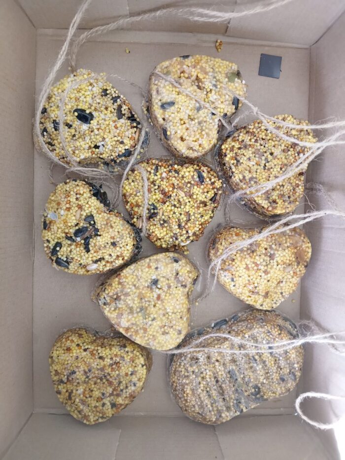 акция в 5 классе «Покормите птиц зимой!» (3)