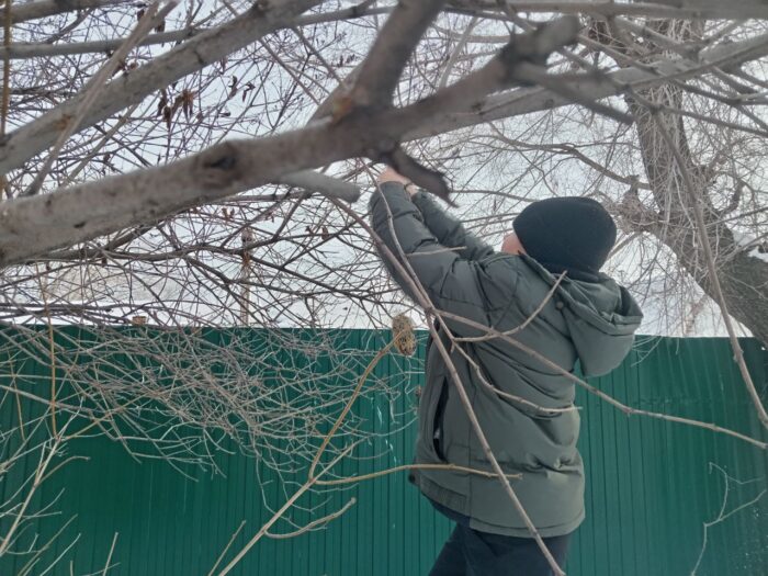 акция в 5 классе «Покормите птиц зимой!» (5)