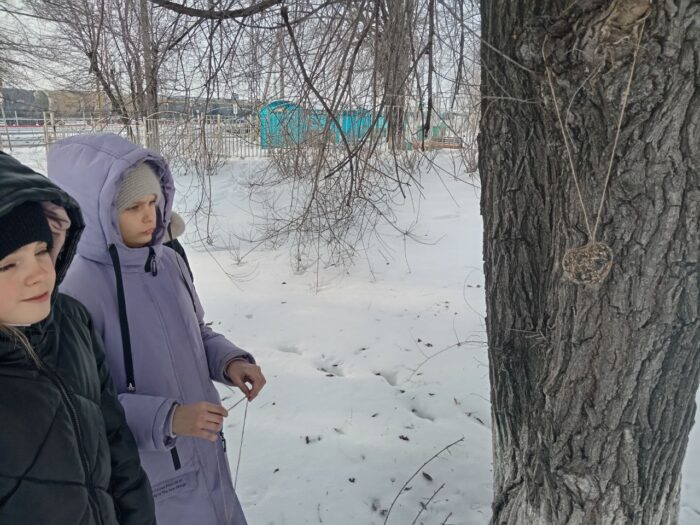 акция в 5 классе «Покормите птиц зимой!» (6)