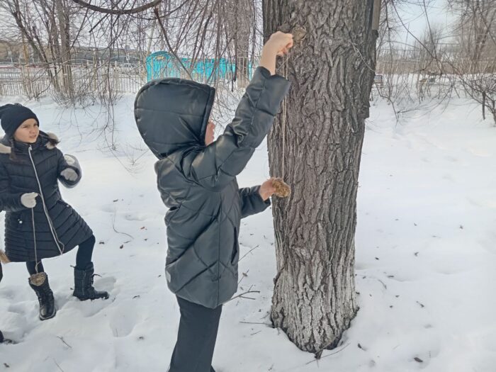 акция в 5 классе «Покормите птиц зимой!» (7)