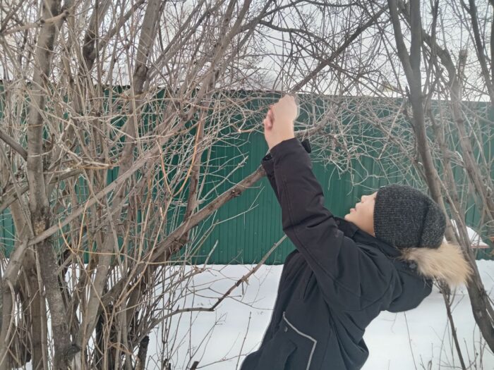 акция в 5 классе «Покормите птиц зимой!» (8)