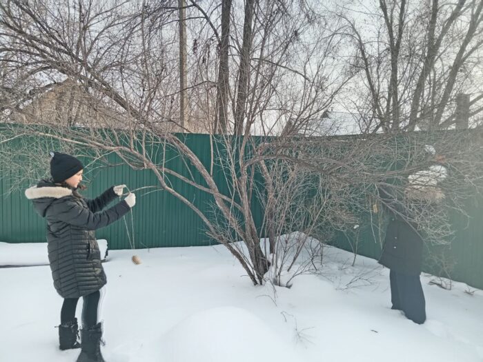 акция в 5 классе «Покормите птиц зимой!» (9)