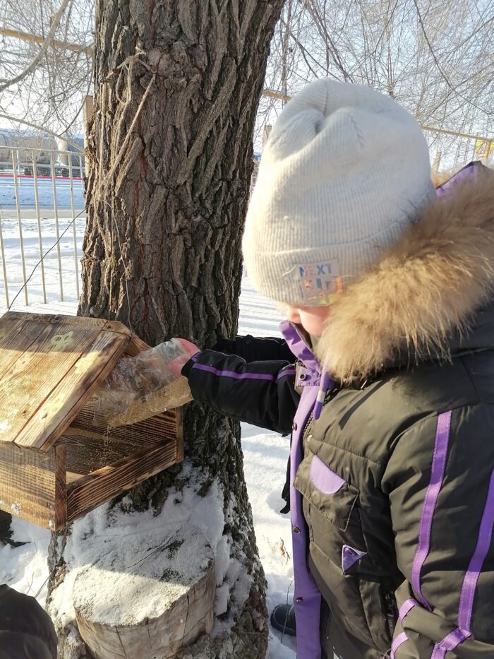акция кормушки для птиц (4)