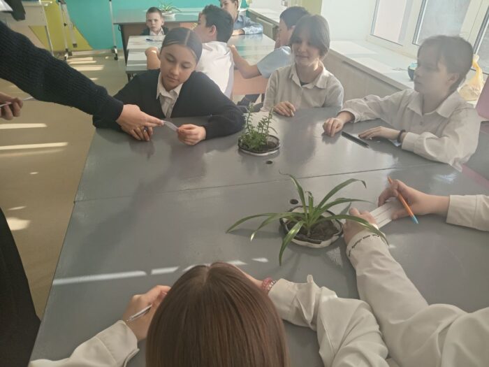 тренинг Жизнь без драк и агрессии (3)