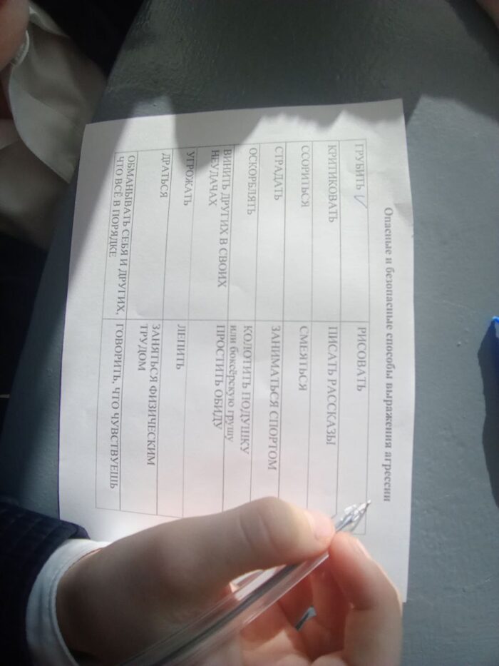 тренинг Жизнь без драк и агрессии (7)