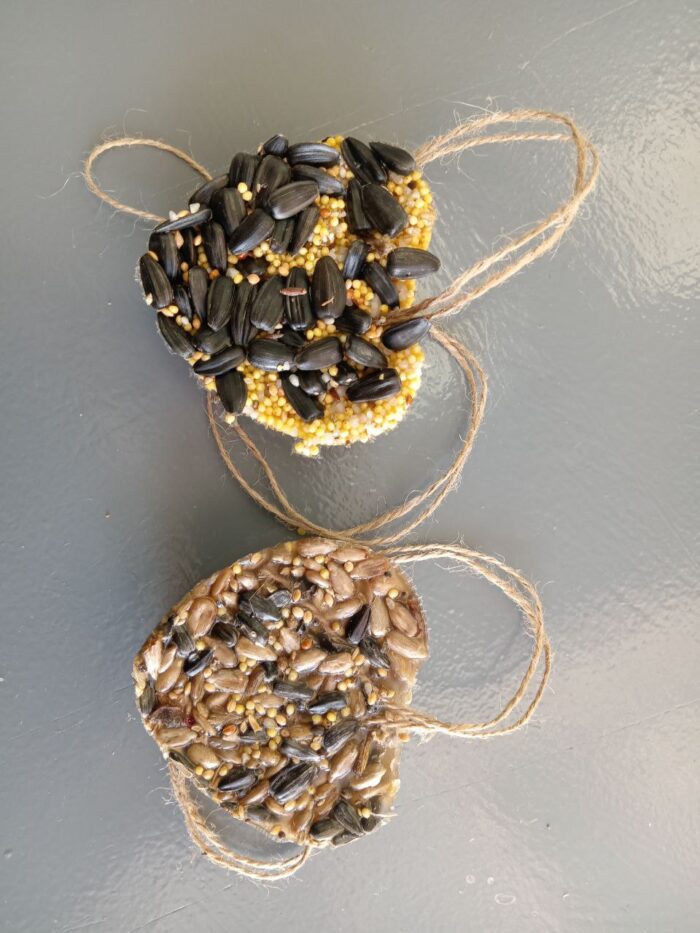 угощаем птиц зимой (1)