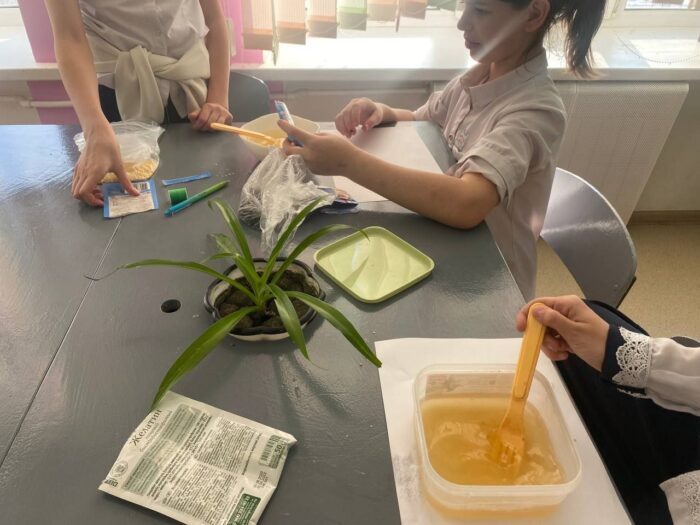 угощаем птиц зимой (11)