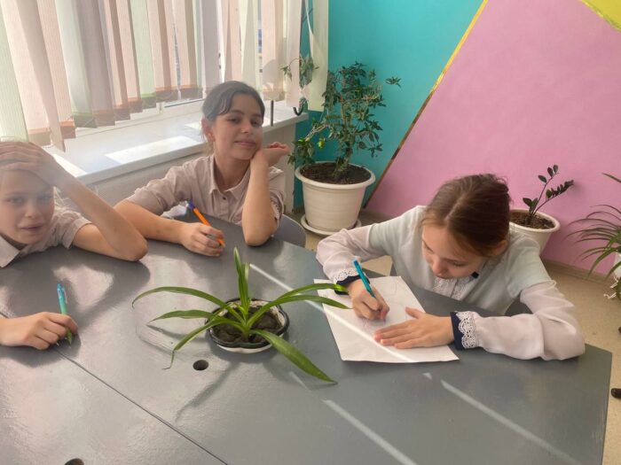 угощаем птиц зимой (12)