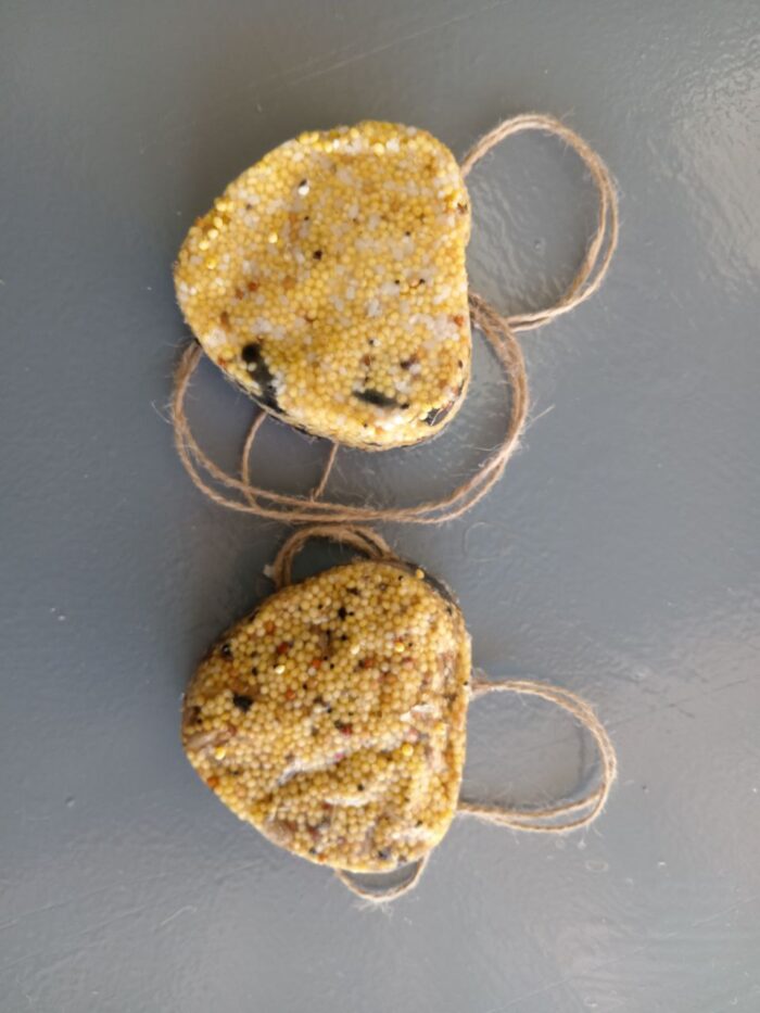 угощаем птиц зимой (13)