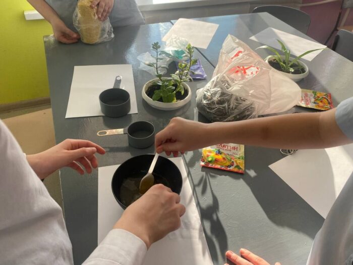 угощаем птиц зимой (14)