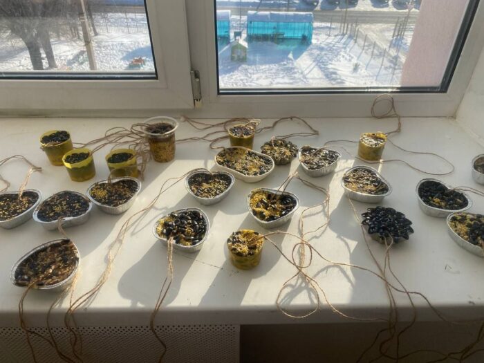 угощаем птиц зимой (2)