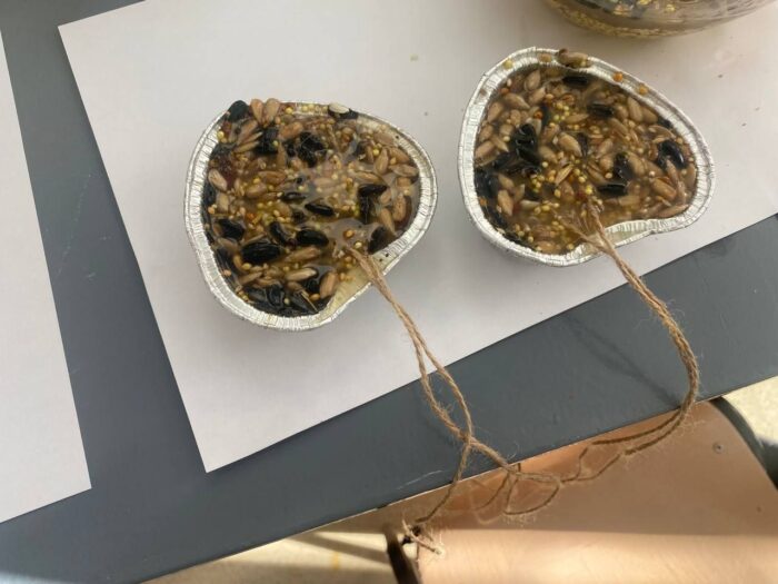 угощаем птиц зимой (3)