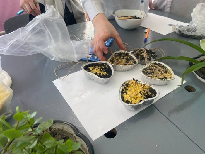 угощаем птиц зимой (4)