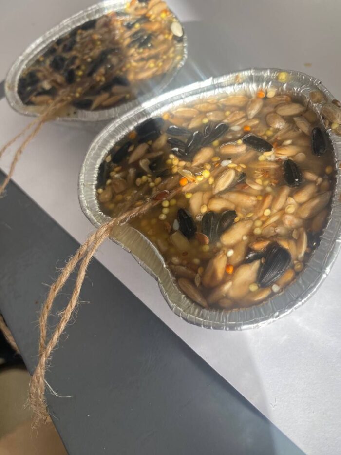 угощаем птиц зимой (5)